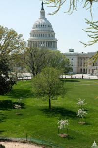 US Capitol